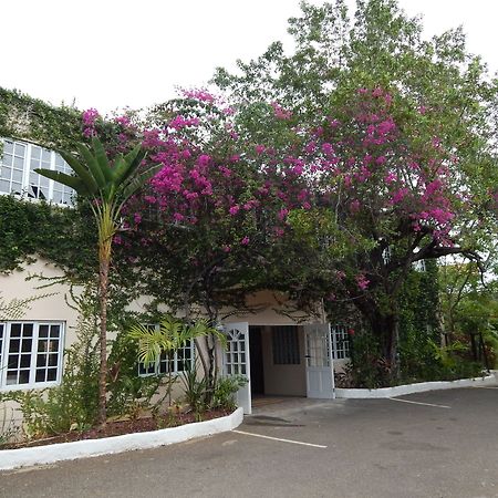 Mangos Jamaica Adults Only Falmouth Exterior foto