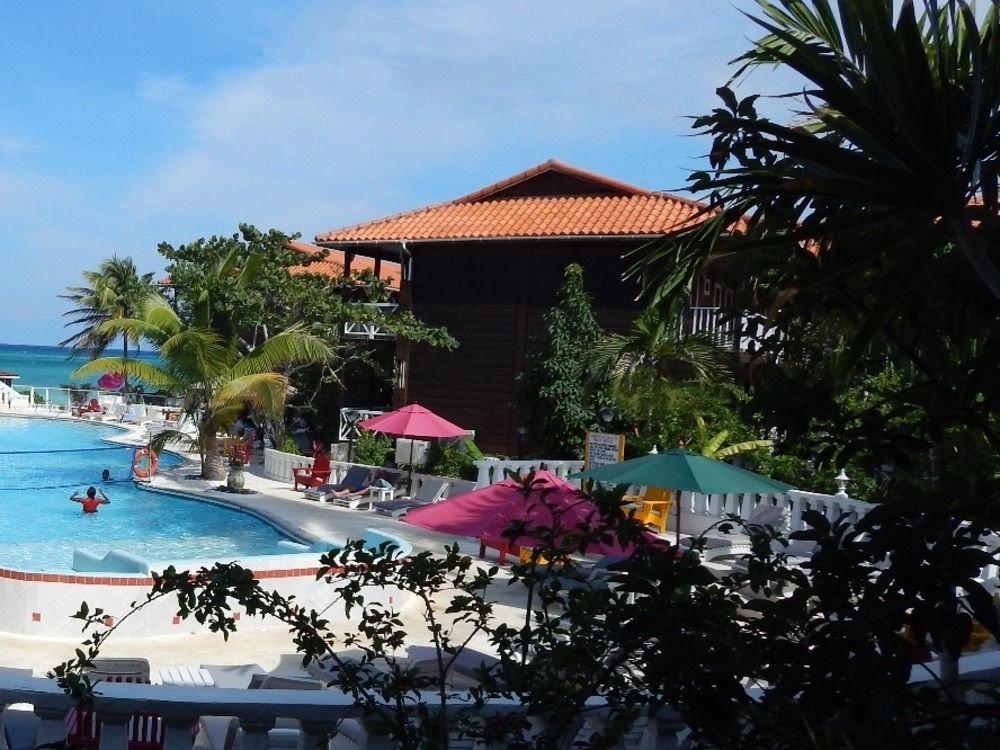 Mangos Jamaica Adults Only Falmouth Exterior foto