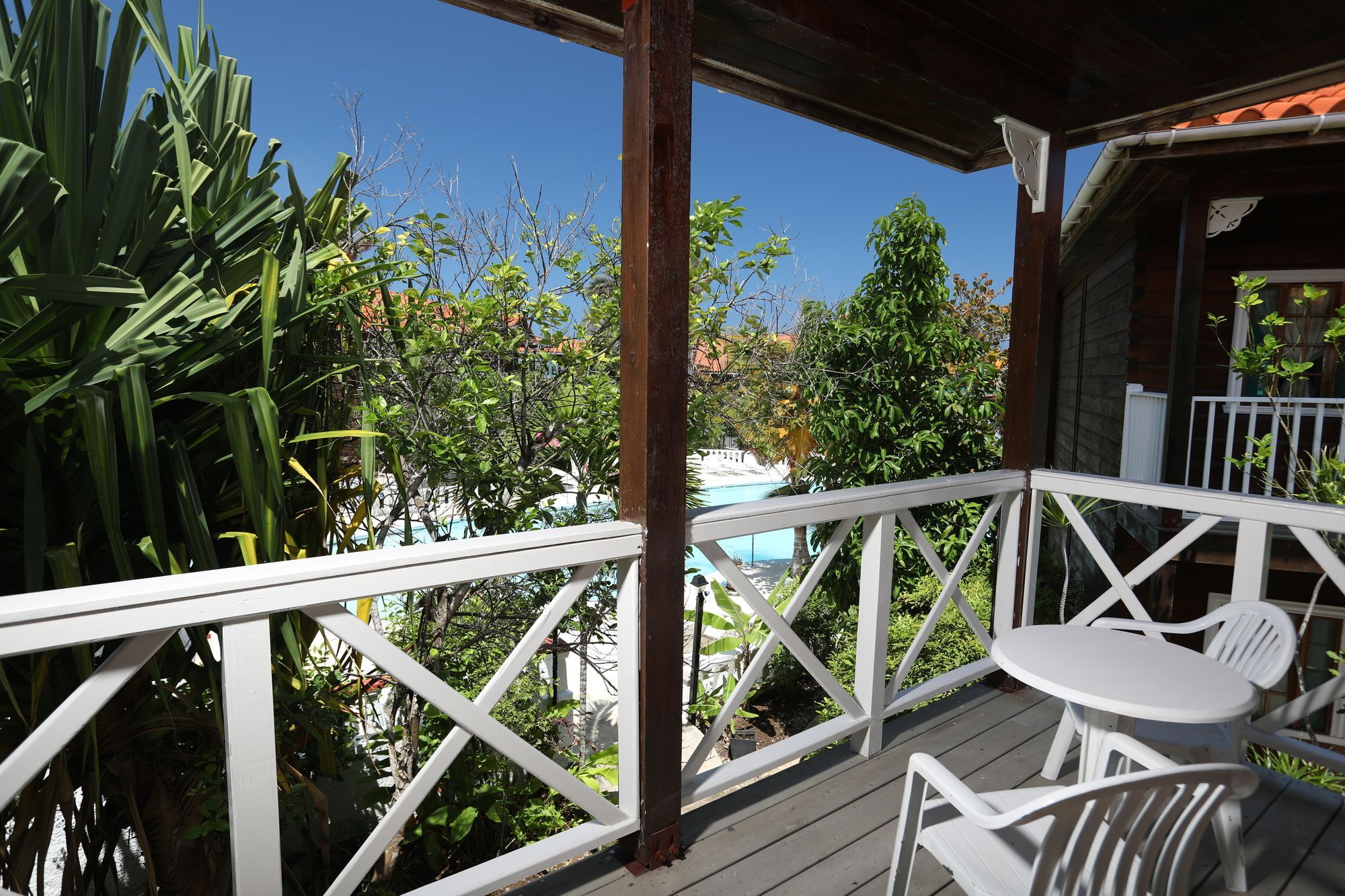 Mangos Jamaica Adults Only Falmouth Exterior foto
